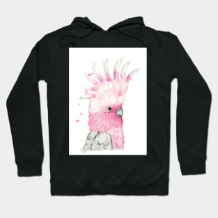 Oh You Galah! Hoodie